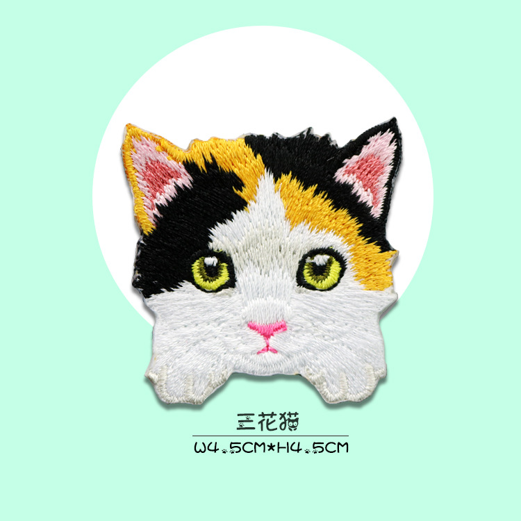 三花猫.jpg