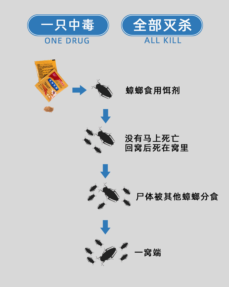 版3详情页4.jpg