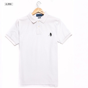 �ļ����QPOLO����ʿ����T�����IС�R�˴̽��������e�̄�����
