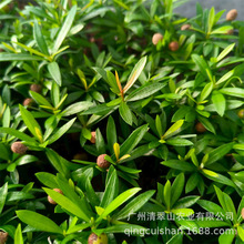 �tѿ�_�h�ɺ��u�_�h�� ͥԺ�^�~���ԾGֲ ΢���^�����ļ��������^