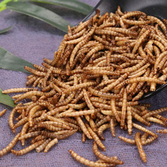 中藥材批發 麵包蟲 散裝新貨麵包車可做寵物零食支持開票代發昆蟲