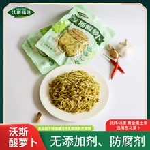 沃斯东北酸菜酸萝卜丝0添加0防腐乳酸菌酸菜丝酸菜发酵技术合作
