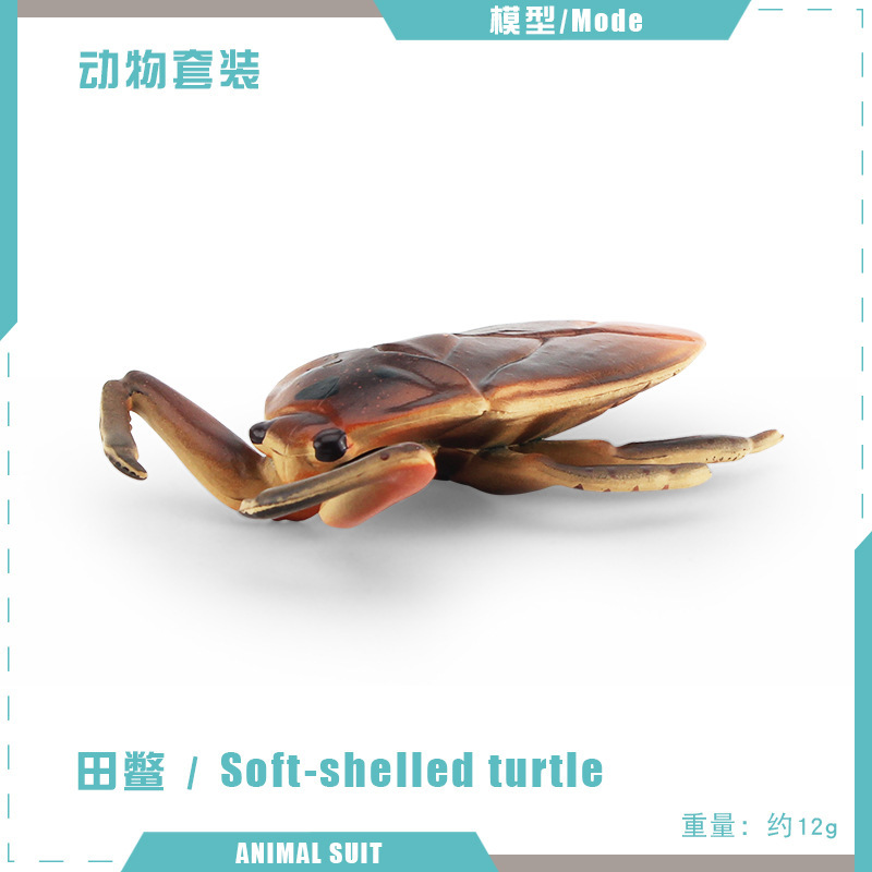 Sólido artificial abeja araña mariposa Naruto ciempiés insecto modelo animal juguete de los niños arena bandeja Decoración