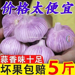 ɽ�|���l�{�^��10���l2024���r�����^����5�����ӽ�3��Ƥ���r��