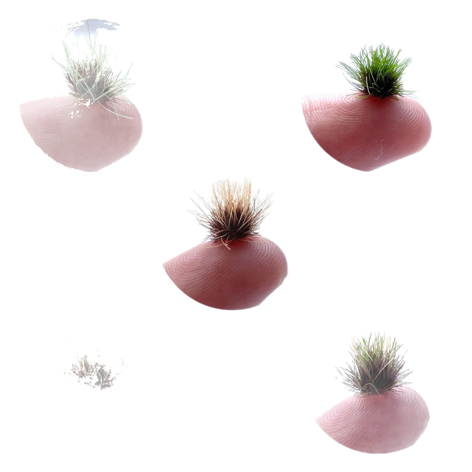 8mm96 plantas redondas cluster modelo de vías ferroviarias accesorios escenario de arena militar diy forma de hierba miniatura