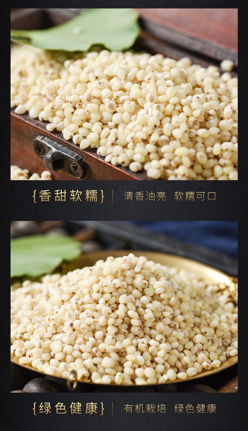Sorghum Rice 500g Gao Liang Mi Whole Grain for Congee Porridge and Cooking in use
