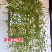 �����҃��b������L���ϼ����ӾƵ�����ë���쾰����ֲ�؈