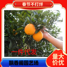 ̨���S���۽ۘ���������������С���R��ӿȪ���٘�o�����٘���