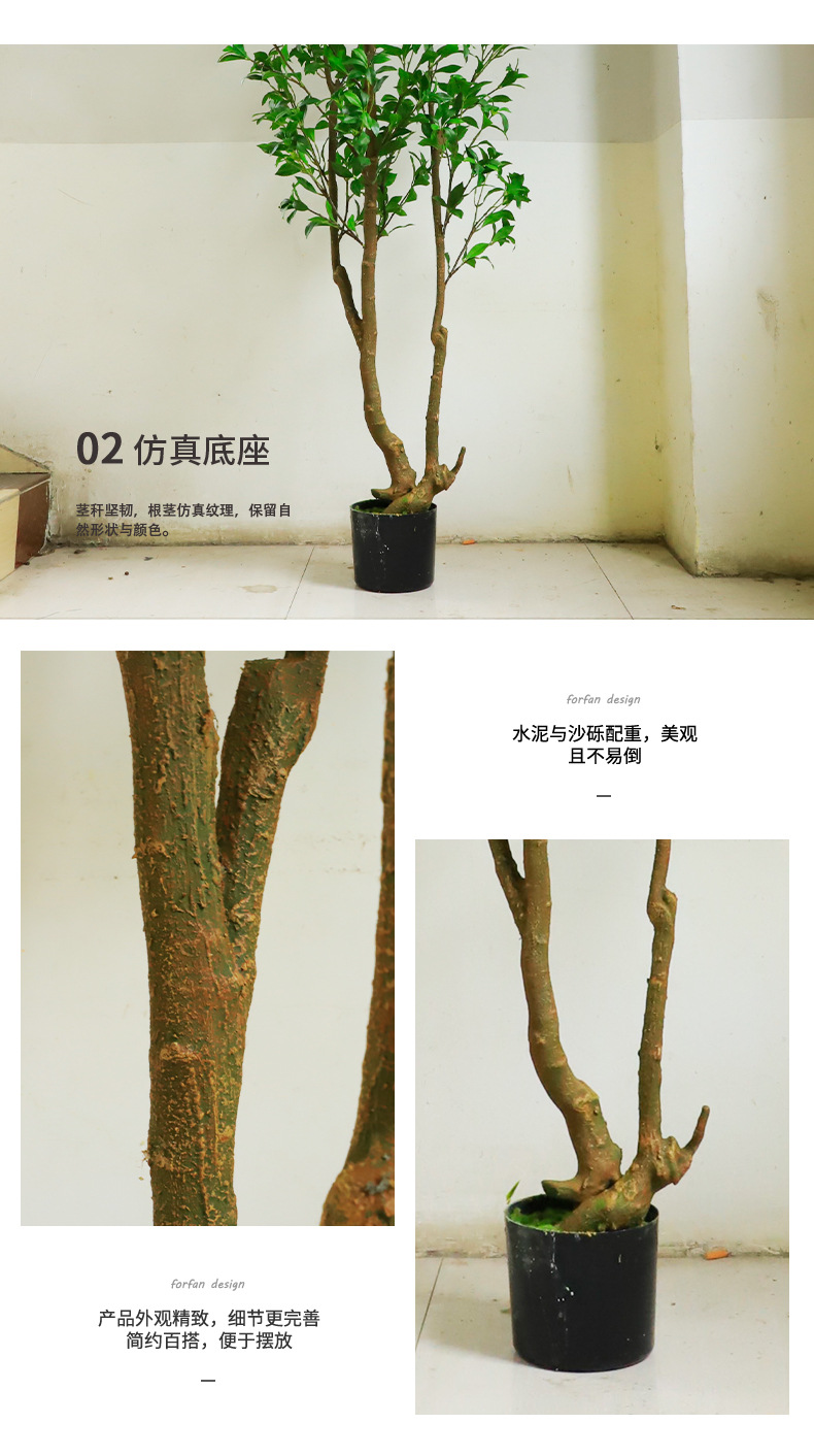 马醉木_08.jpg