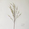 Natural simulation flower small handball white snow willow fake flowers indoor living room flower arrangement decorative flower pastoral porch furnishings