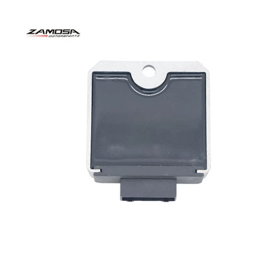 electronic regulator Fly100 Regulator