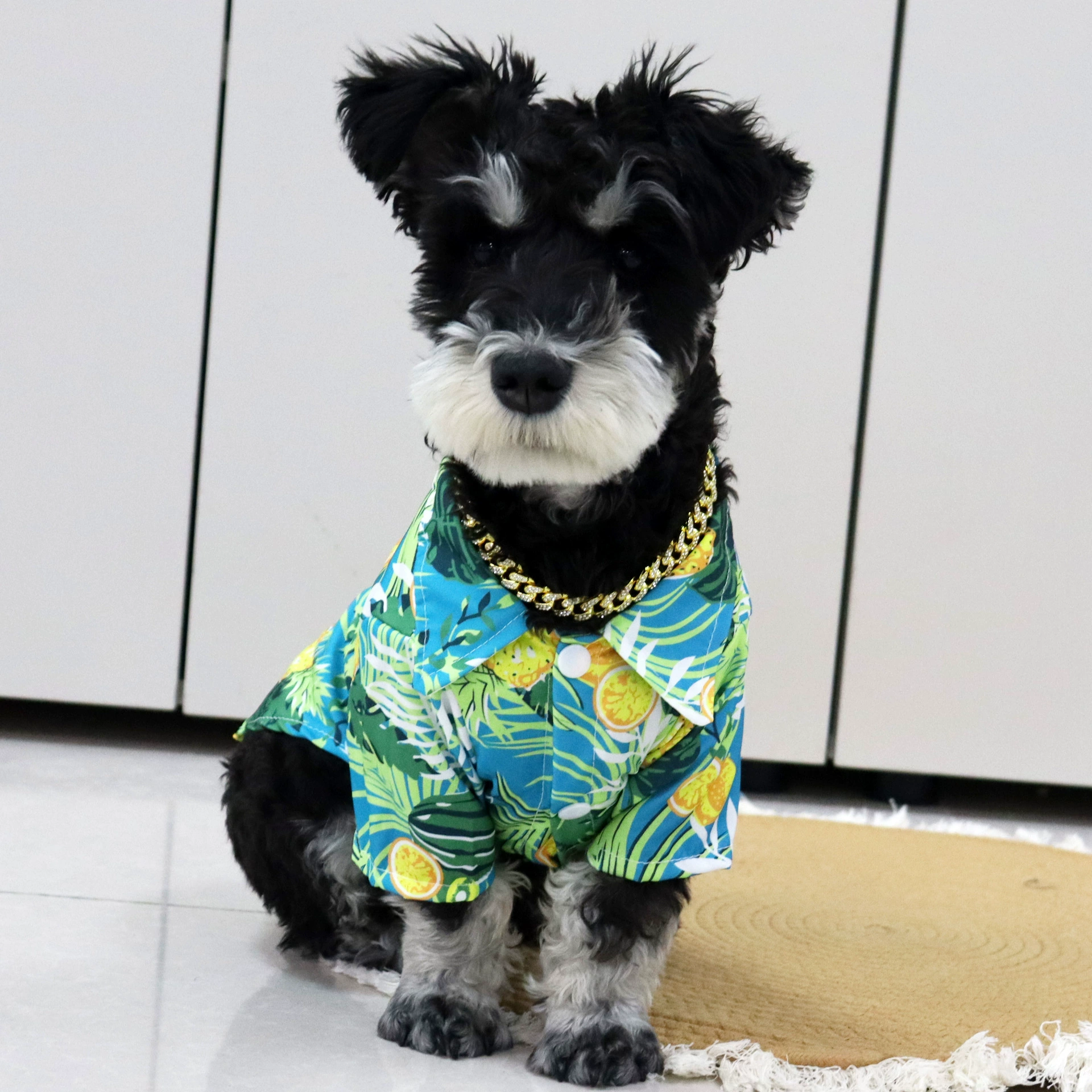 2025 новый кот гавайская рубашка весной и летом повседневная гуава лимонная кокосовая кокосовая домашняя рубашка с короткими рукавами