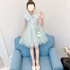 Summer clothing, summer small princess costume for early age, cheongsam, girl's skirt, dress, western style, tulle