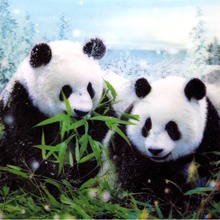 6D纳米魔幻画 水晶立体画批发 动感高清三维立体画 客厅装饰画