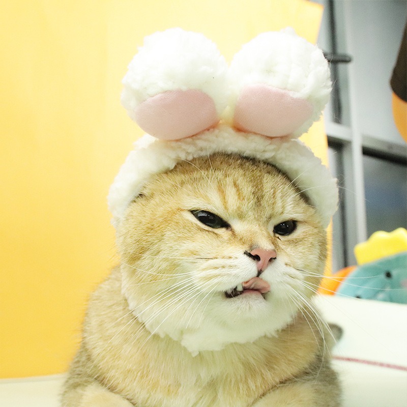 Gato gorra de pelo lindo sombrero travesti perro gorra de pelo para mascotas puede mantener cálido sombrero de mascotas image 7
