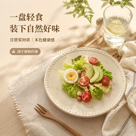 可降解餐具;一次性碗碟;一次性餐盒