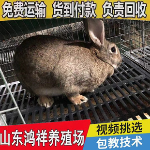 �����Bֳ���،��⹩�����б����r�N�ð��ɻ�����r��ɢ�B�\�B����