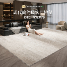 地毯客厅新款意式轻奢家用防水防污免洗易打理沙发高级感家用地毯