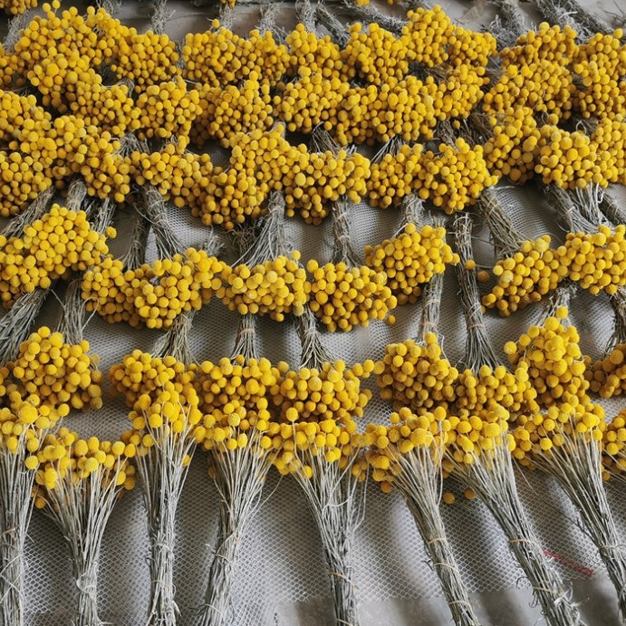 황금구슬 20개 - 드라이플라워백