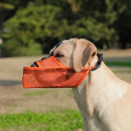 嘴套;狗狗牵引;狗狗窝/笼/垫