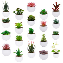 跨境热销假多肉迷你塑料盆栽组合仿真多肉礼品多肉植物家居小摆件