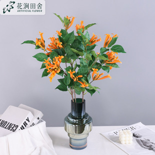 ���滨 ���̻� �ָ�ܛ�z����Ҿ�ܛ�b��̻�c�[��������ˇ�ٻ�