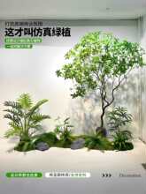 �����R��ľ�������b٘�����҃ȸ߶˾��^����ֲ���쾰�M�Ϸ���