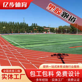 预制型塑胶跑道 EPDM橡胶颗粒混合透气跑道学校操场卷材施工