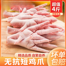 4斤无抗短凤爪大号短柄鸡爪新鲜冷冻鸡脚卤味烧烤食材1斤冷冻鸡脚
