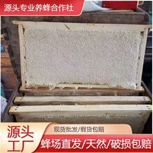 农家自产新鲜荆条蜜成熟整张荆条蜜全封盖百花巢蜜整板新脾荆条蜜