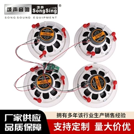 其他音箱;公共广播系统;蓝牙音箱