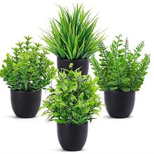 �羳���u����ֲ���ֲ��Gֲ�҃����b����������ȼ�������С����