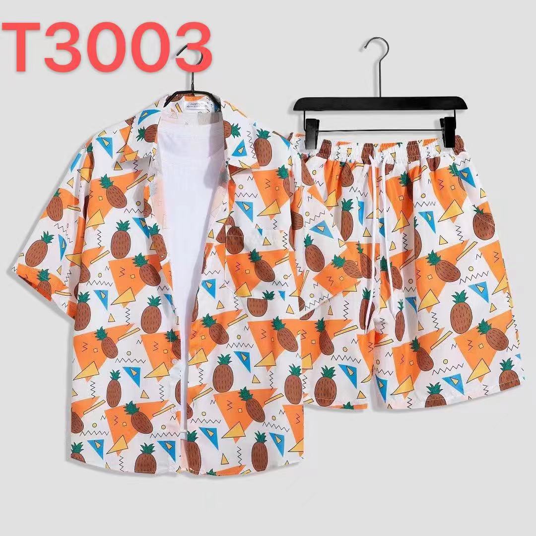 T3003