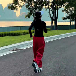 韩版休闲运动风穿搭上衣2025年秋季新款显瘦简约风修身长袖两件套