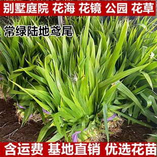 �����m���G�Sβ�ϻ��Sβ���Gꑵ���ر������m�^�p�m�����@�G����