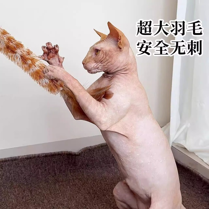 鸡毛掸子逗猫棒猫玩具天然麻绳木杆带铃铛猫咪磨爪玩具猫咪磨牙棒|undefined