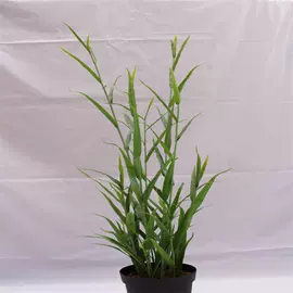 仿真绿植;仿真枝叶和树;仿真果蔬