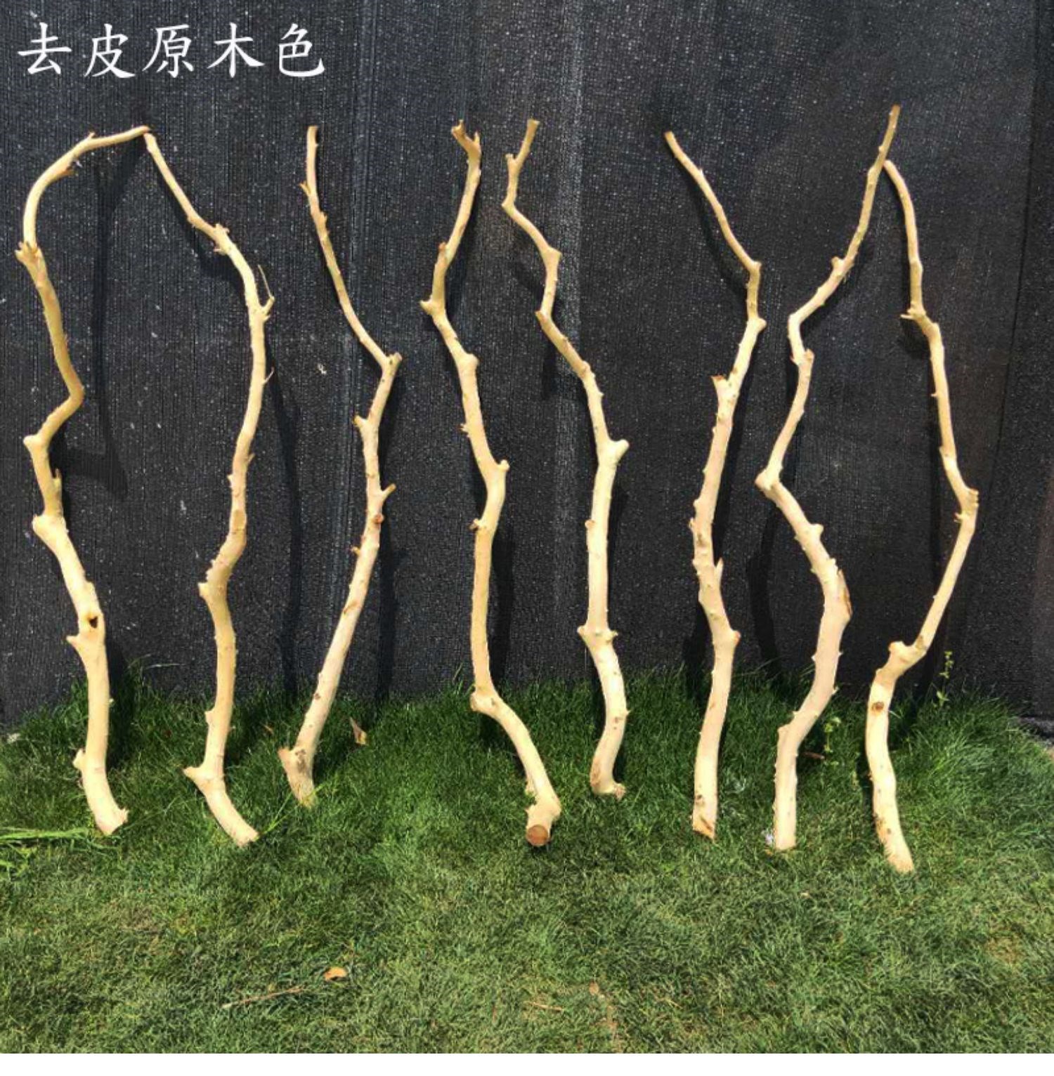 天然白樹枝桔子樹剝皮枯樹杆去皮白干枝幹花龍骨店面櫥窗擺放裝飾