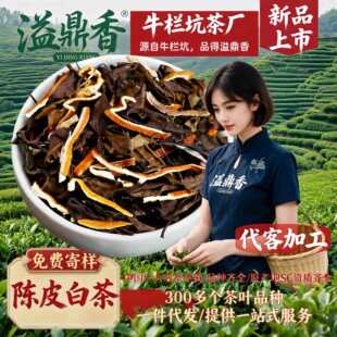 �綦���Ƥ�ײ藗���üɢ��2015�긣���ϰײ�������S��ֱ����
