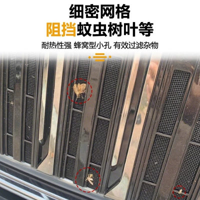 Boyue L Insect-Proof Net Front: Automobile anti-insect net