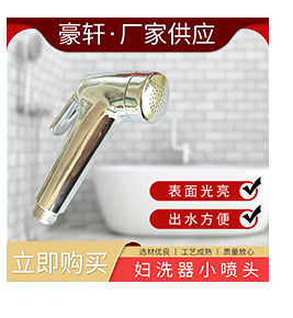 Toilet flushers, feminine washers, cleaners, bathroom flushers, ABS spray guns, and small garden plastic nozzles are available in stock undefined
