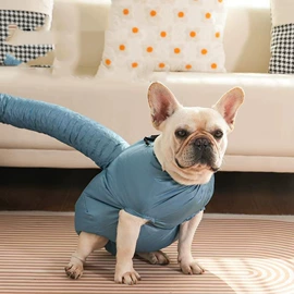 卷发/直发器;化妆镜;狗狗食具