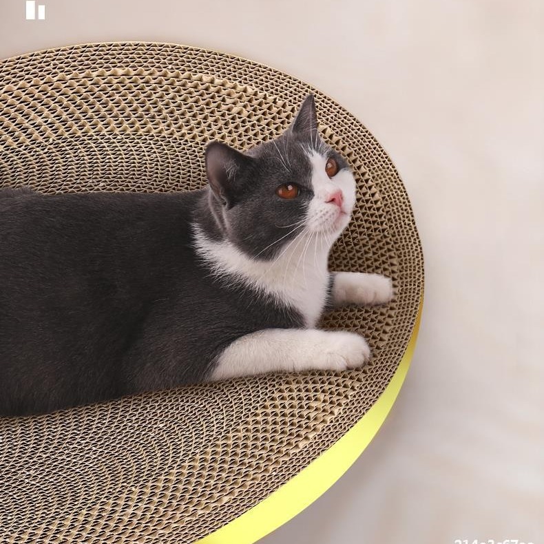 고양이 스크래치 보드 둥지 연삭 발톱 고양이 발톱 보드 골판지 낙하 없음 고양이 둥지 잡기 분지 통합 고양이 용품 고양이 장난감