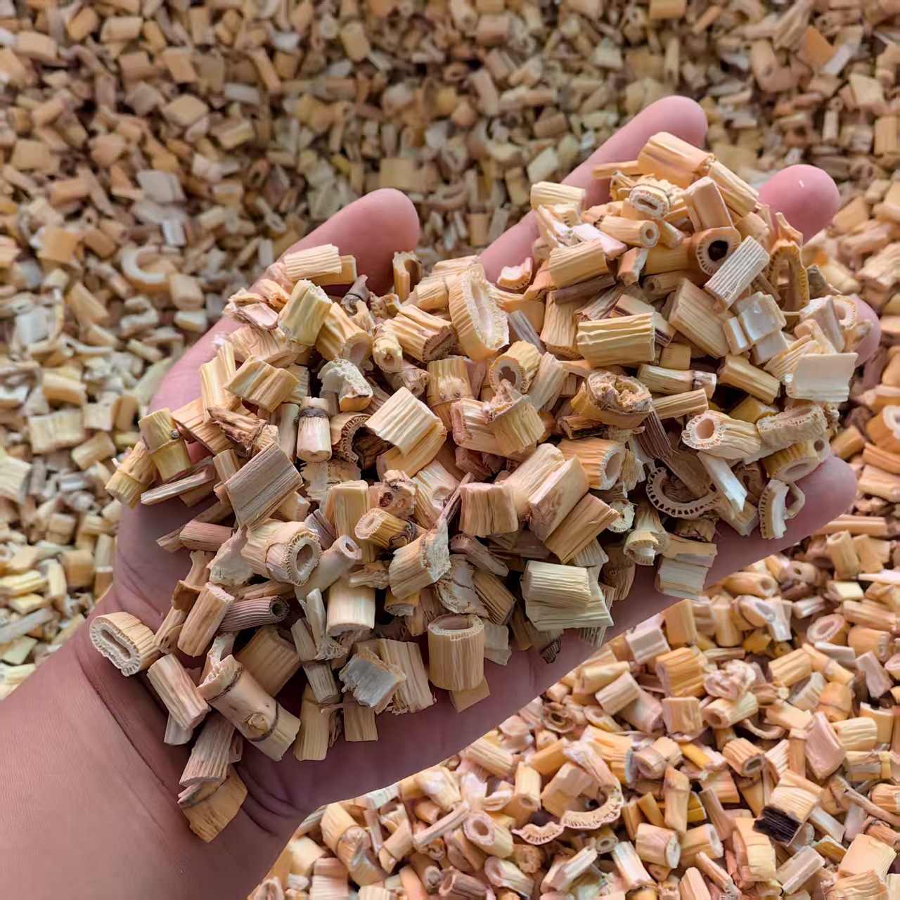 Dried Reed Rhizome Lu Gen 500g Natural Sun Dried Reed Root Segments for Herbal Decoction and Tea key features