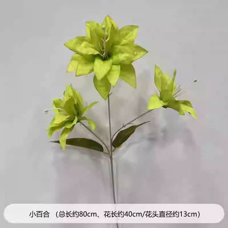 芦荀草绿植花龙须草假花白绿森系婚庆装饰自然风背景插花路引|undefined