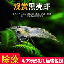 �ښ��r�^�p�r�����~��С�r��ˮ�ͻ���ˮ̖�坍�O�r