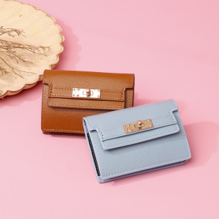 Sylina Card Holder Women's 2024 New Compact Women's Wallet Anti-Degaussing Multi-Card Slot High-End Accordion Card Holder