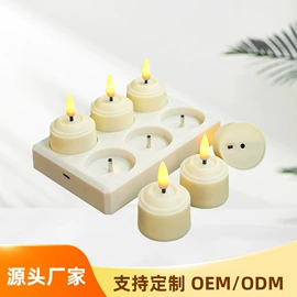 蜡烛;蜡烛灯;灯控制器