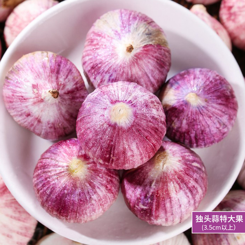 500g - 단일 머리 마늘 - 초대형 과일(3.5cm 이상) 크고 통통한 핫 세일