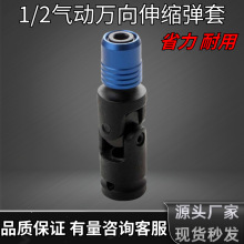 �f����s�������l�t�f�1/2���w�L���D�Q�^늰����D�������L����